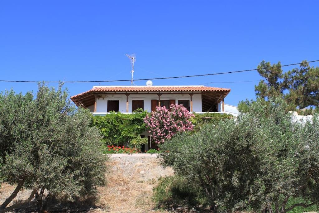 Traditional Olive House Makrýgialos 외부 사진
