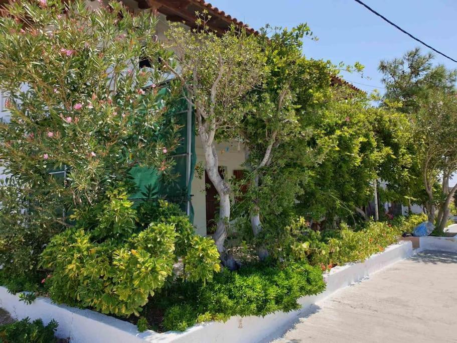 Traditional Olive House Makrýgialos 외부 사진
